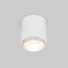 Фото товара Накладной светодиодный светильник Cors 25032/LED 10W 4200K белый/серебро